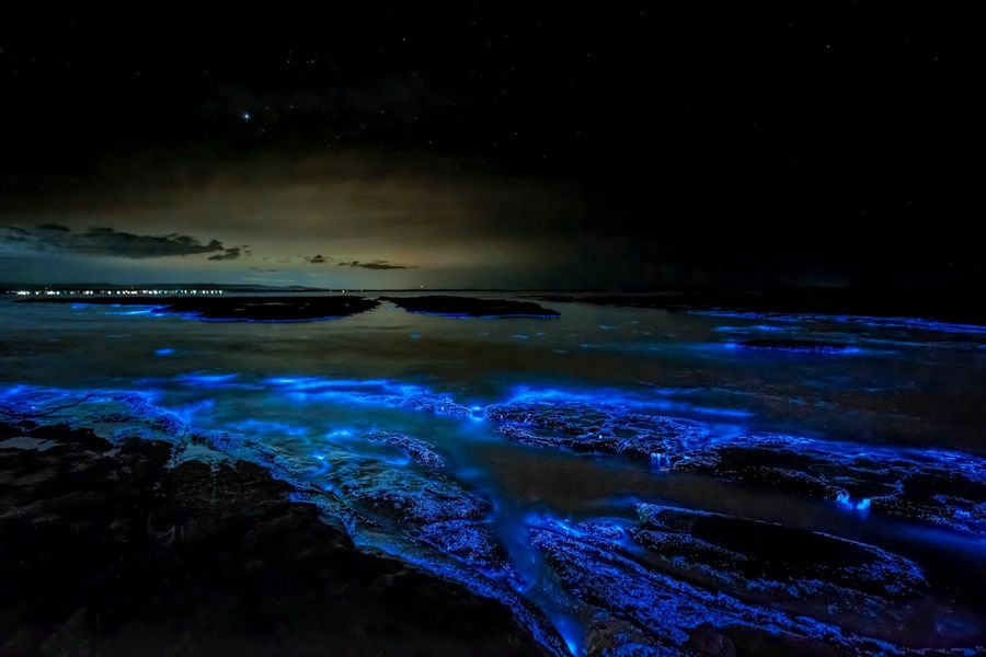 Bioluminescent Waters