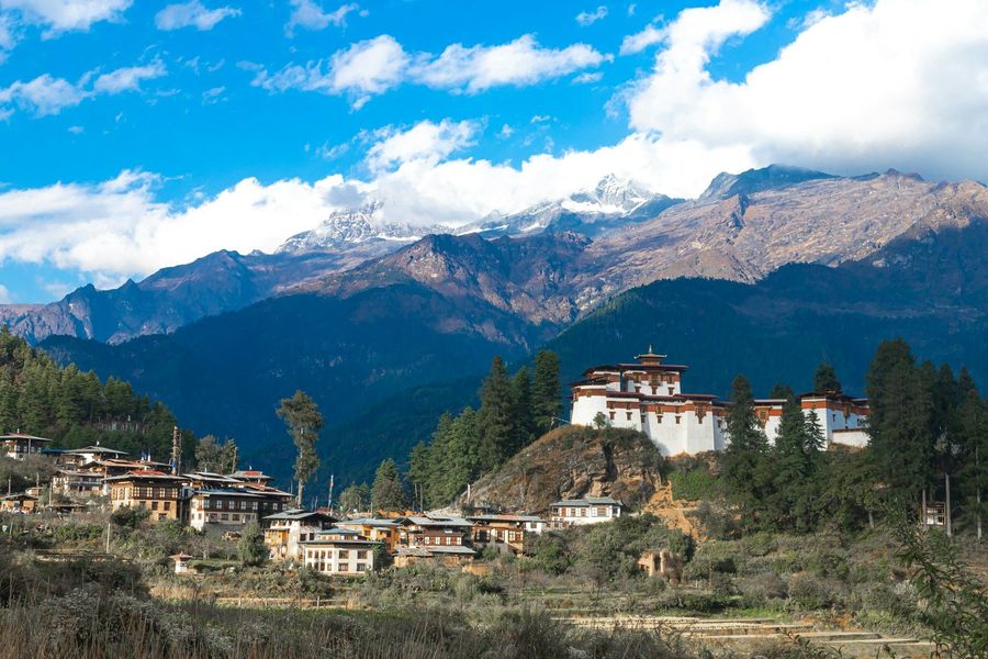 Paro highlight