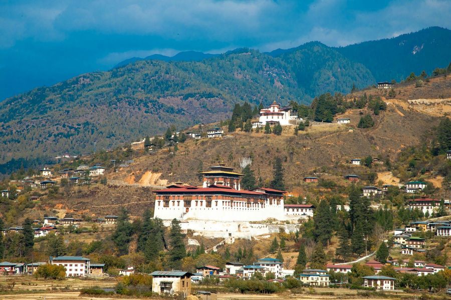 Paro highlight