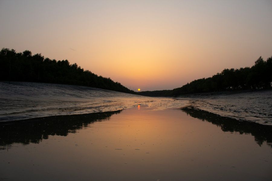 Sundarbans highlight
