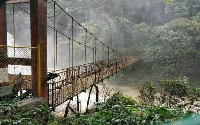 Hanging Bridge Viewpoint