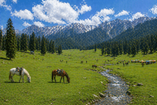 Baisaran Meadow