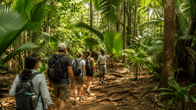 Vallée de Mai Nature Reserve