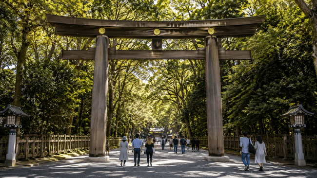 Meiji Shrine & Harajuku