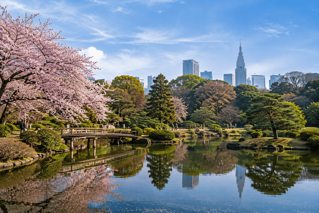 Visit Shinjuku Gyoen National Garden