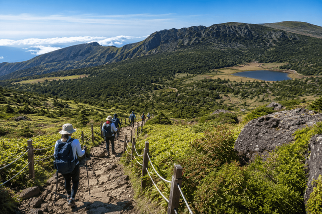 Hallasan Hiking Experience