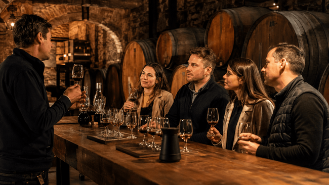 Port Wine Tasting in the Cellars of Vila Nova de Gaia