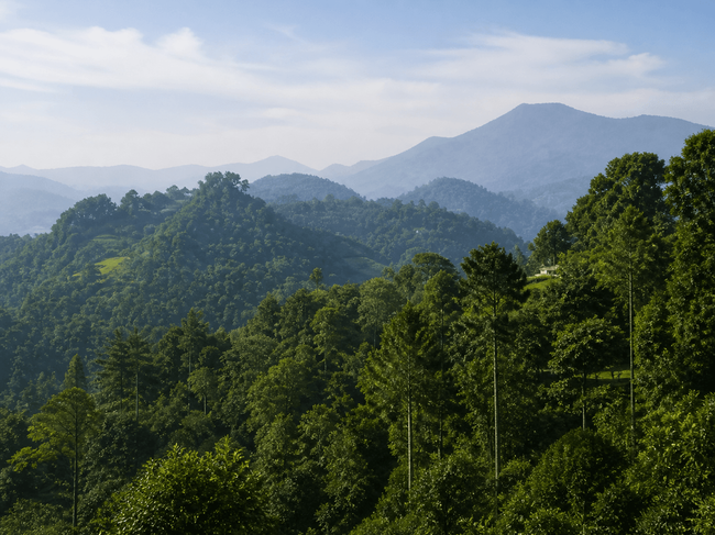 Trek to Karoh Peak