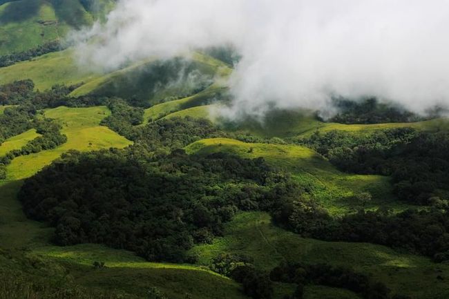 Family Chikmagalur Getaway