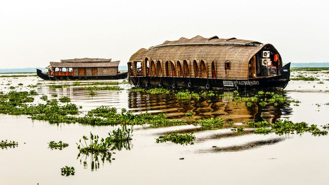 Backwater Houseboat Cruise