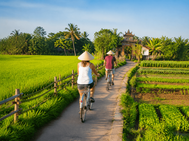 Cycling Through the Rural Rice Paddies and Tra Que Village