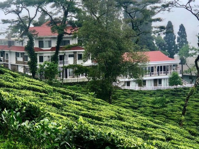 Experience Led Darjeeling Tea Trail