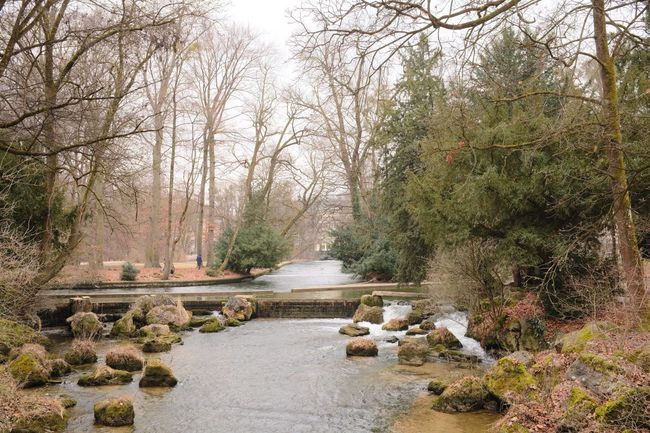 English Garden (Englischer Garten)