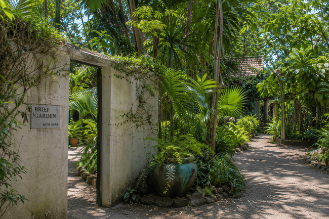Brief Garden by Bevis Bawa