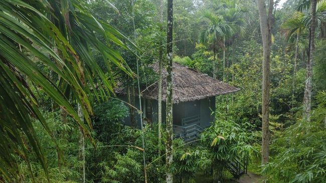 Experience-led Wayanad Trail