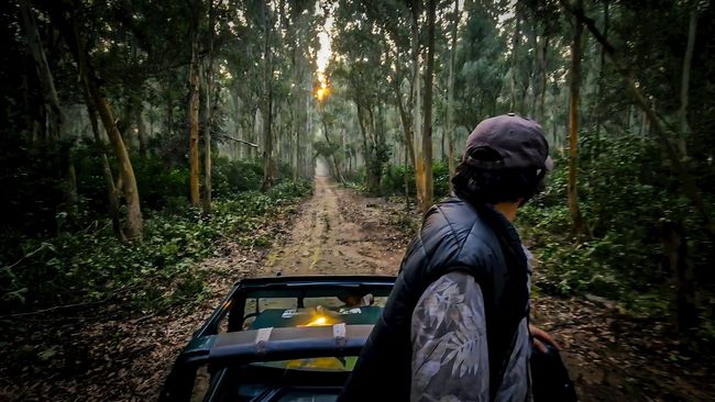 Jim Corbett National Park