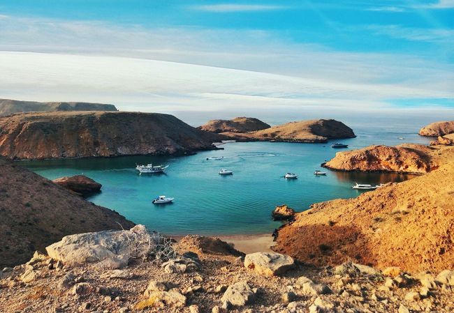 Muscat