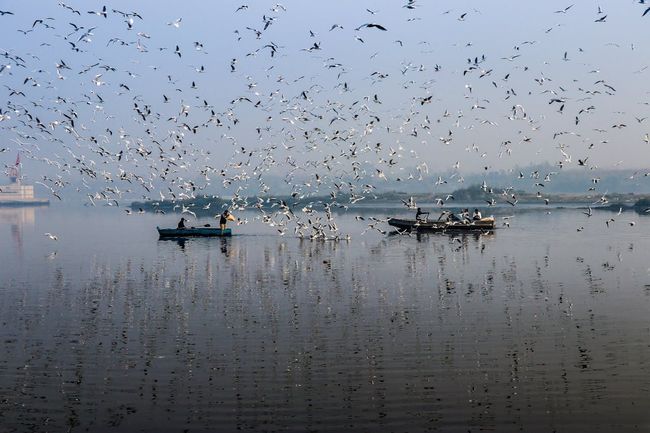 Kayak on the Yamuna at Sunrise