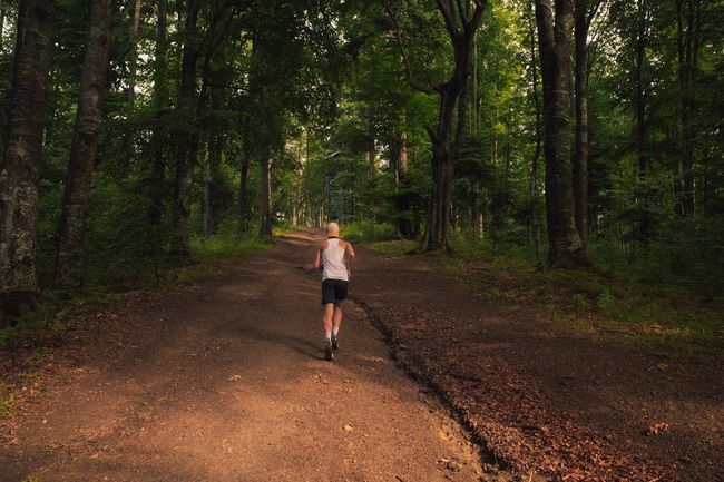 Trail Running at Ananthagiri Hills