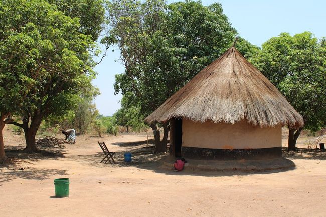 Bishnoi Village Eco Safari