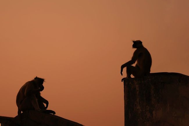 Sunset Point & Monkey Point