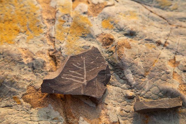 Fossil Hunting at Langza