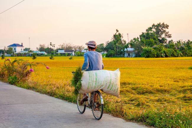 Cycle the Chettinad Villages