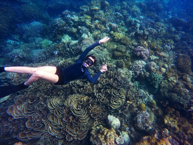 Snorkelling the Reef Edge