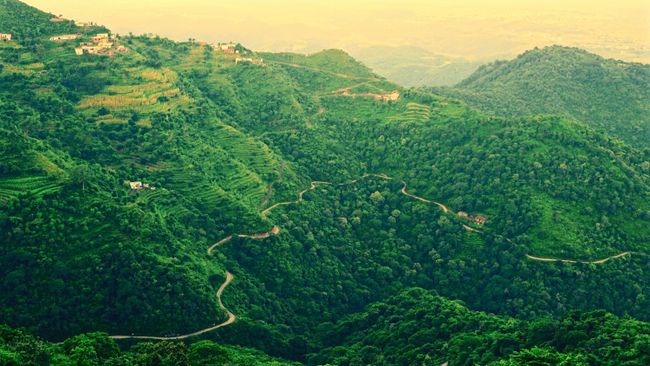 Landour & Lal Tibba