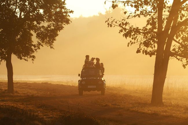 Jungle Safari in Ranthambore