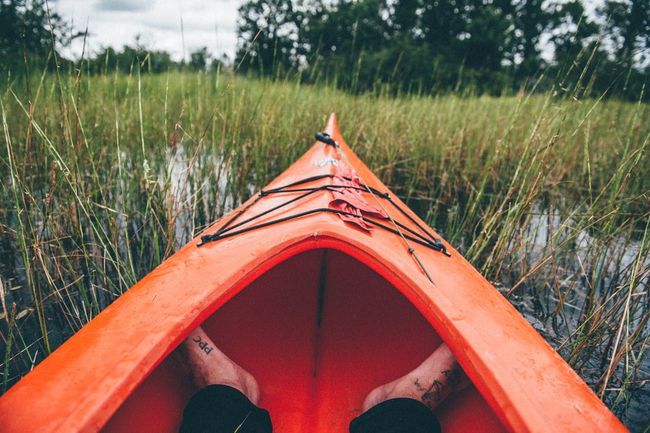 Kayaking on Harike Wetlands