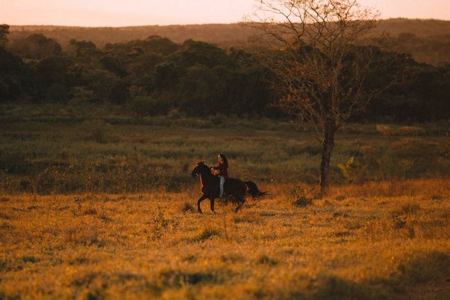 Horse Riding in the Meadow