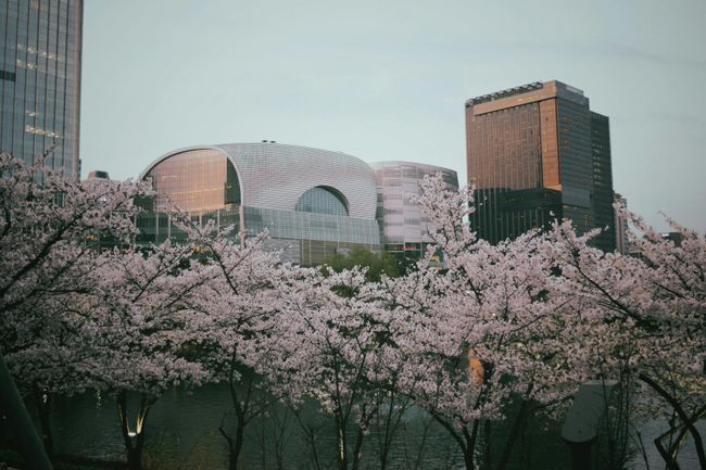 Seoul