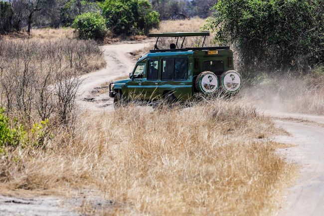 Tala Zone Safari