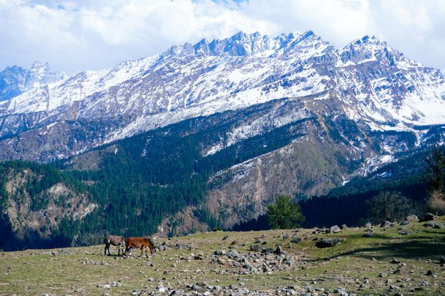 Trek to Kheerganga
