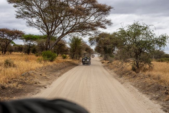 Kabini Jeep Safari