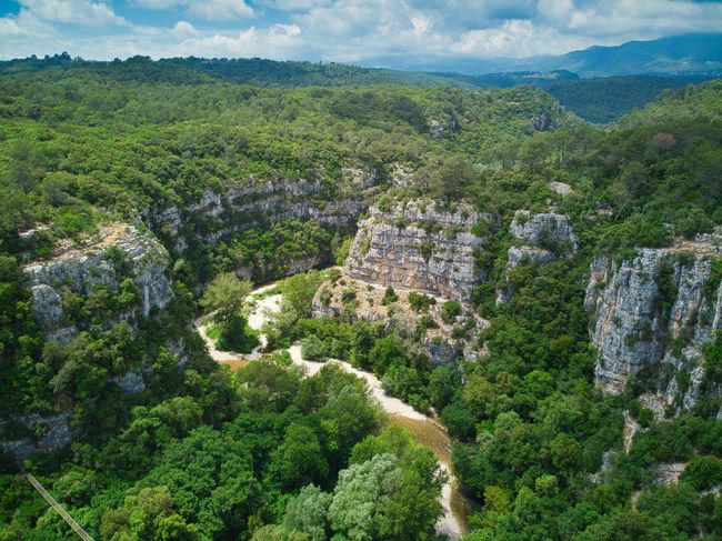 Black River Gorges National Park