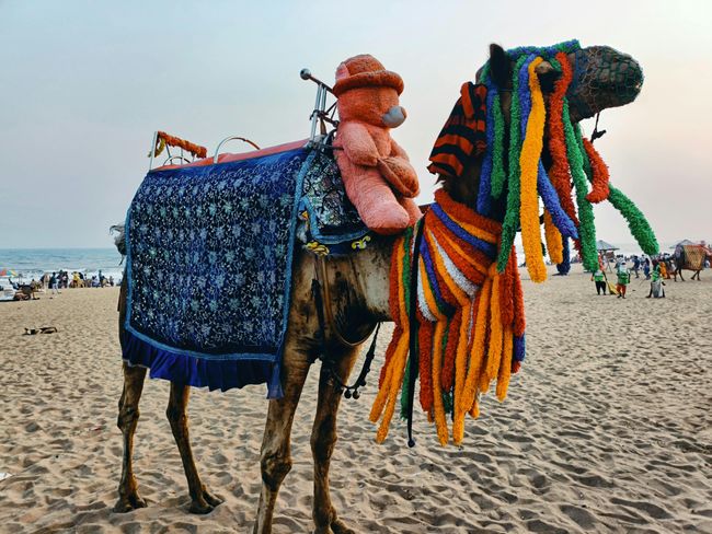 Drive to Mandvi Beach