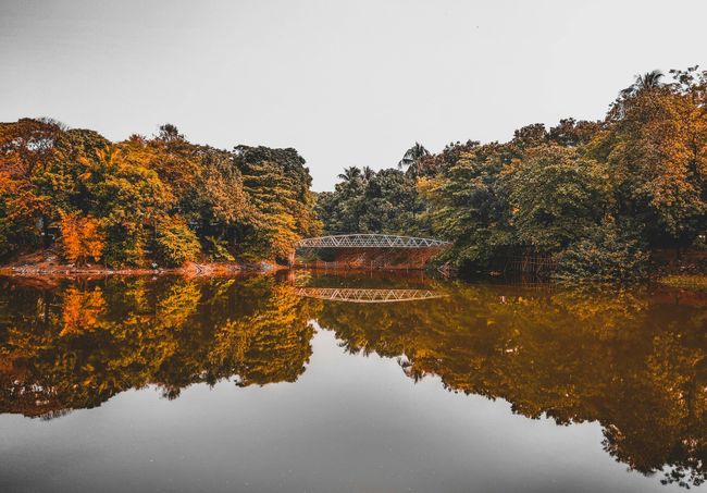 Yercaud Lake & Anna Park