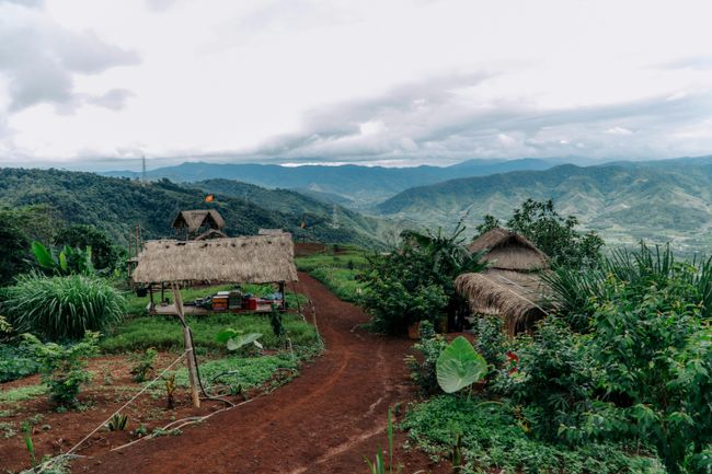 Homestay in Reiek
