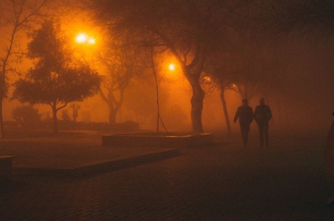 Night Walk in Buffer Zone