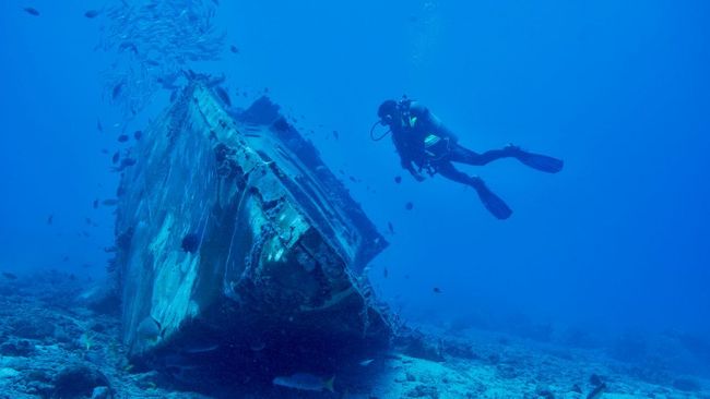 Shipwreck Diving in Coron