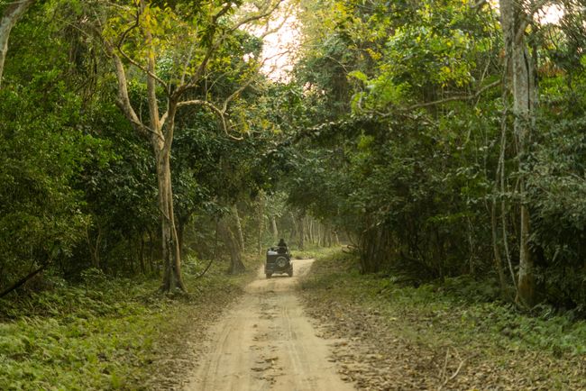 Jeep Safari in Bijrani Zone