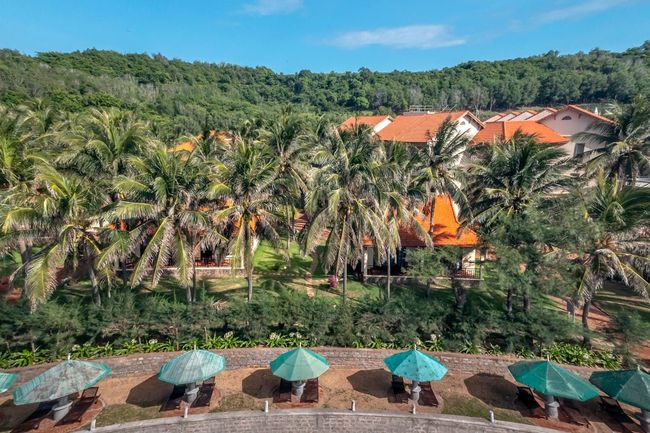TSTDC Haritha Resort Stay