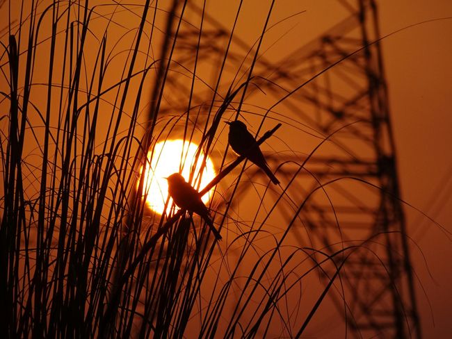 Sunrise Photography Session
