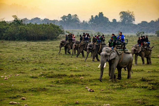 Assam