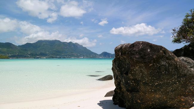 Anse Lazio Beach Day (Praslin)