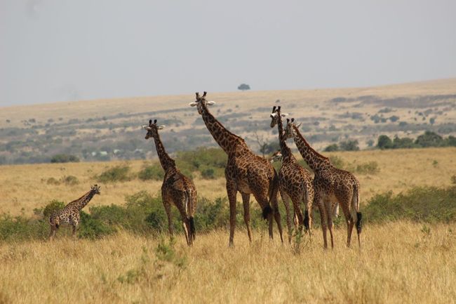 Kenya