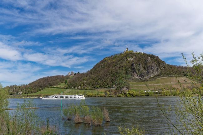 Rhine Valley Day Trip