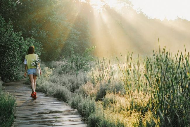 Short Nature Walks Around Timber Trail Area